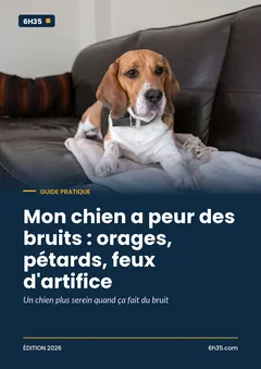 Couverture du guide Mon chien a peur des bruits : orages, pétards, feux d'artifice