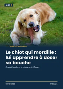 Couverture du guide Le chiot qui mordille : lui apprendre à doser sa bouche