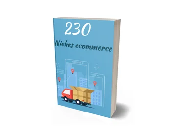 230 niches e-commerce